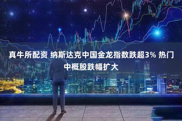 真牛所配资 纳斯达克中国金龙指数跌超3% 热门中概股跌幅扩大