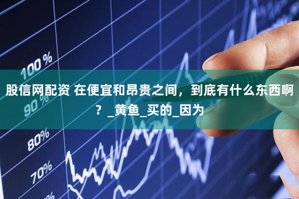 股信网配资 在便宜和昂贵之间，到底有什么东西啊？_黄鱼_买的_因为